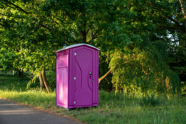Best Porta potty delivery and setup  in St Charles, MI